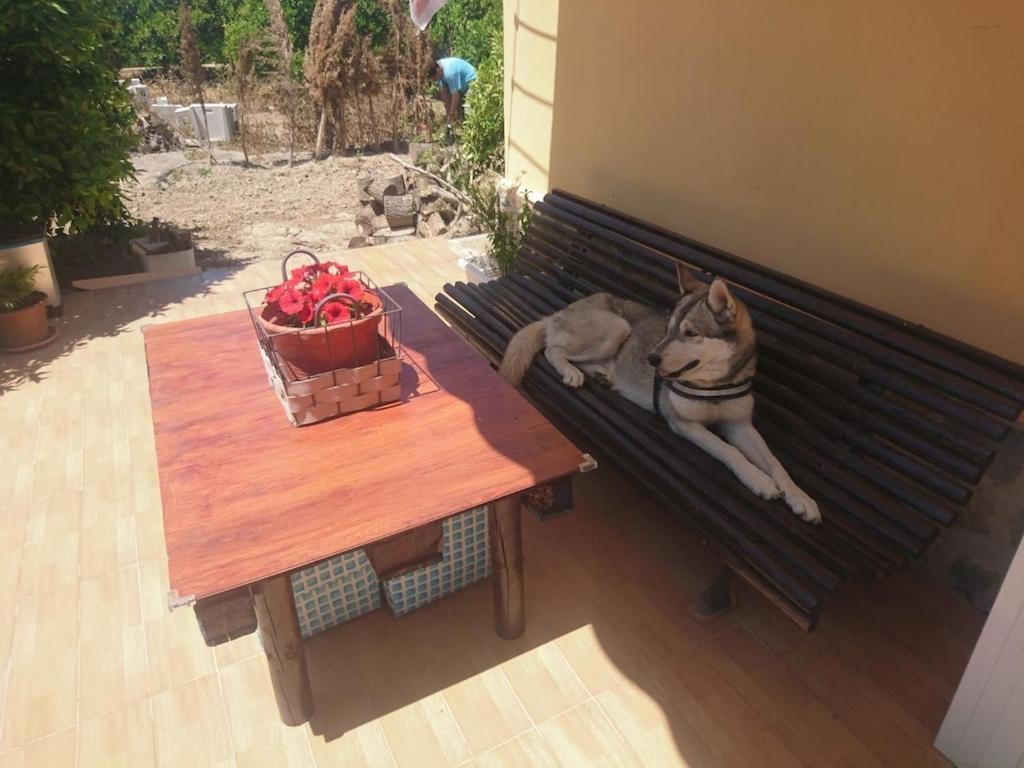 Villa Casita Entre Naranjas Formentera de Segura Esterno foto