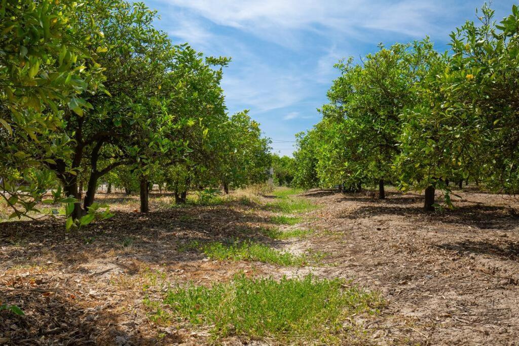 Villa Casita Entre Naranjas Formentera de Segura Esterno foto